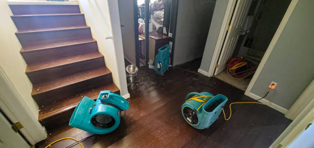 Best Water damage restoration near me  in West Crossett, AR
