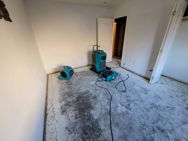 Water damage restoration insurance claims in West Crossett, AR