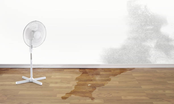 Best Sewage cleanup and water damage restoration  in West Crossett, AR