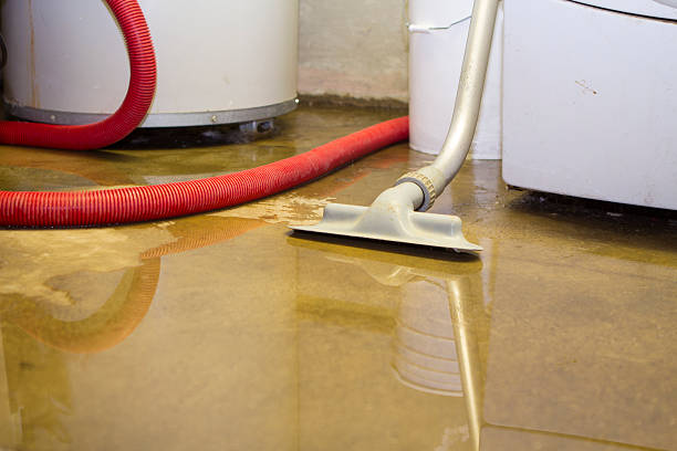 Best Flood damage cleanup  in West Crossett, AR