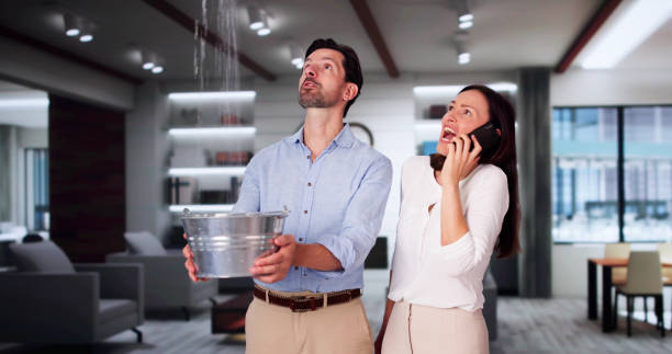 Best Water damage restoration specialists  in West Crossett, AR